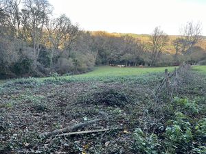 Photo 6- click for photo gallery